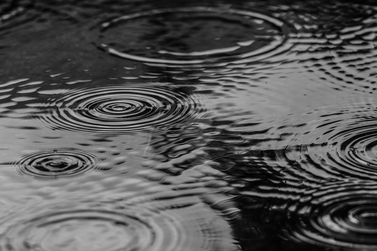 Rainwater Collection for Houseplants: A Sustainable and Beneficial Approach to Plant Care