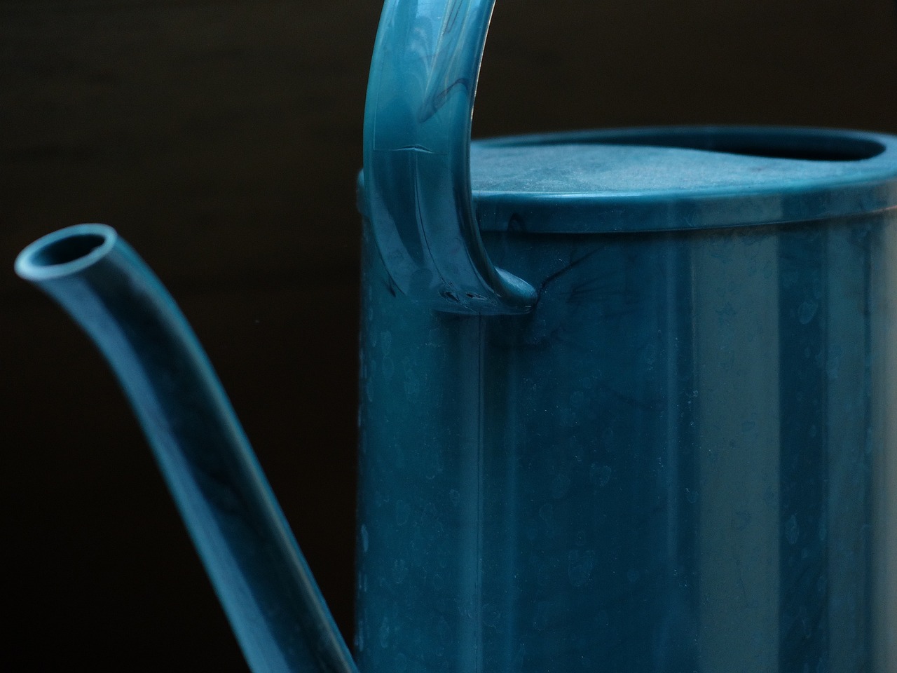 A Guide to Understanding Your Houseplant’s Watering Needs